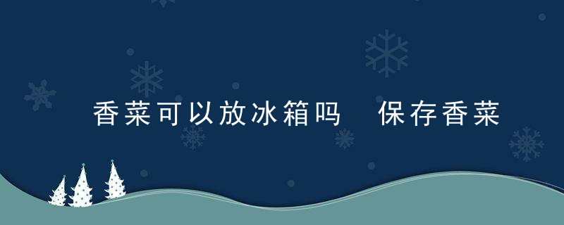 香菜可以放冰箱吗 保存香菜时直接放冰箱可以吗